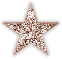 Co-administratrice