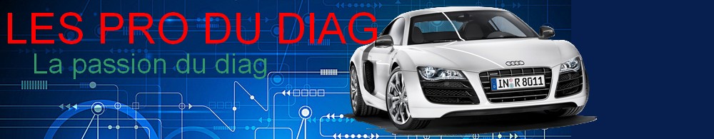 Les pro du diag Index du Forum