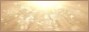 Tag graphisme sur ©Féline Pub | Forum de pub, codage, graphisme, annuaire web Vgjkvouidud0-54997a8