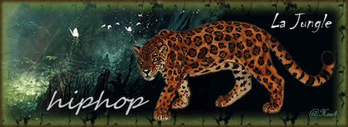 hiphop1-4770424.gif