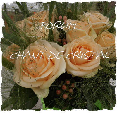 Index du Forum