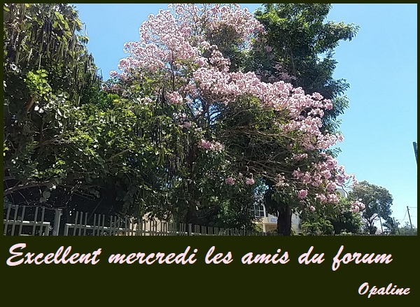 bonjour du mois de Février 2019 - Page 4 Mercredi-27-5535573
