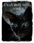 Pas de nouveaux messages Pas de nouveaux messages