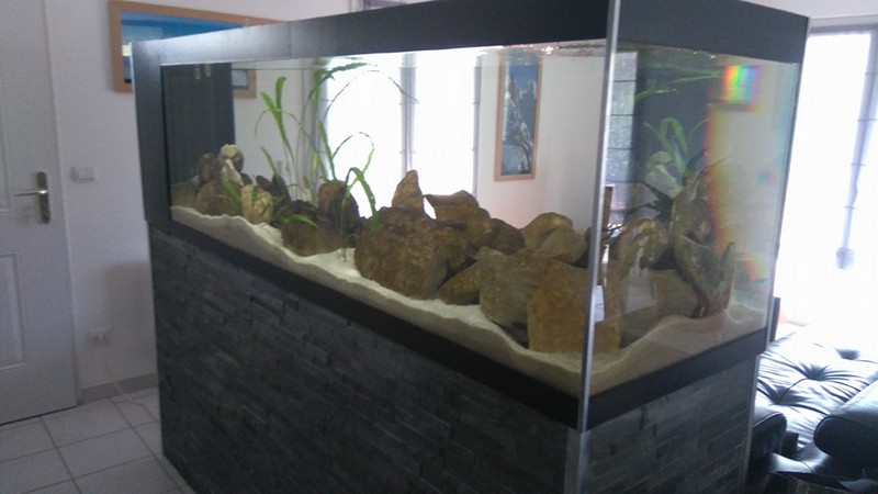 Mon projet de bac 920 litres dans la nouvelle maison 14232498_10210012...641723_n-504ece3