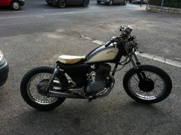 dax bobber