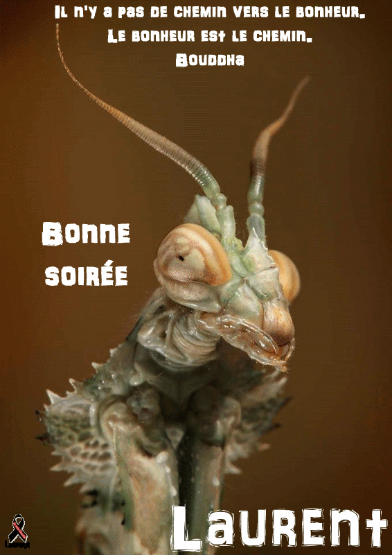 http://img.xooimage.com/files110/f/3/1/laurent0810n2-5334098.gif laurent0810n2-5334098