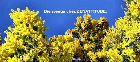 Ensemble ZenAttitude Toujours Index du Forum