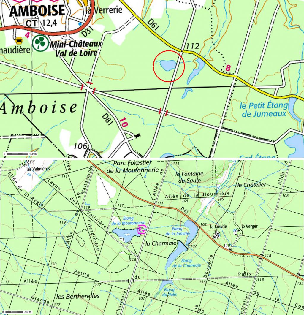 Nos forêts de Touraine : le bois de la Moutonnerie à Amboise