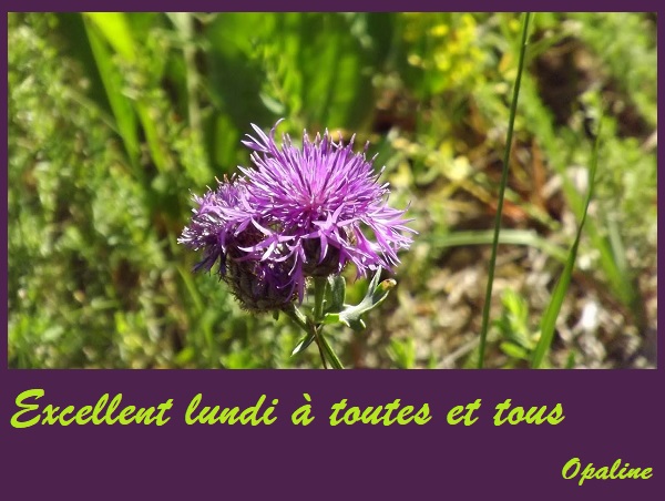 Bonjour du mois de Mars 2019 - Page 2 Lundi-11-548c2c6