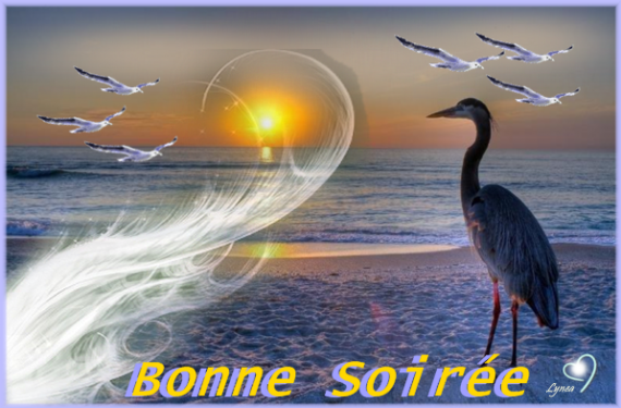 bonne-soiree-bonn...seau-img-471f332