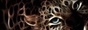 Tag graphisme sur ©Féline Pub | Forum de pub, codage, graphisme, annuaire web Il4lfjzec3zr-54980fe