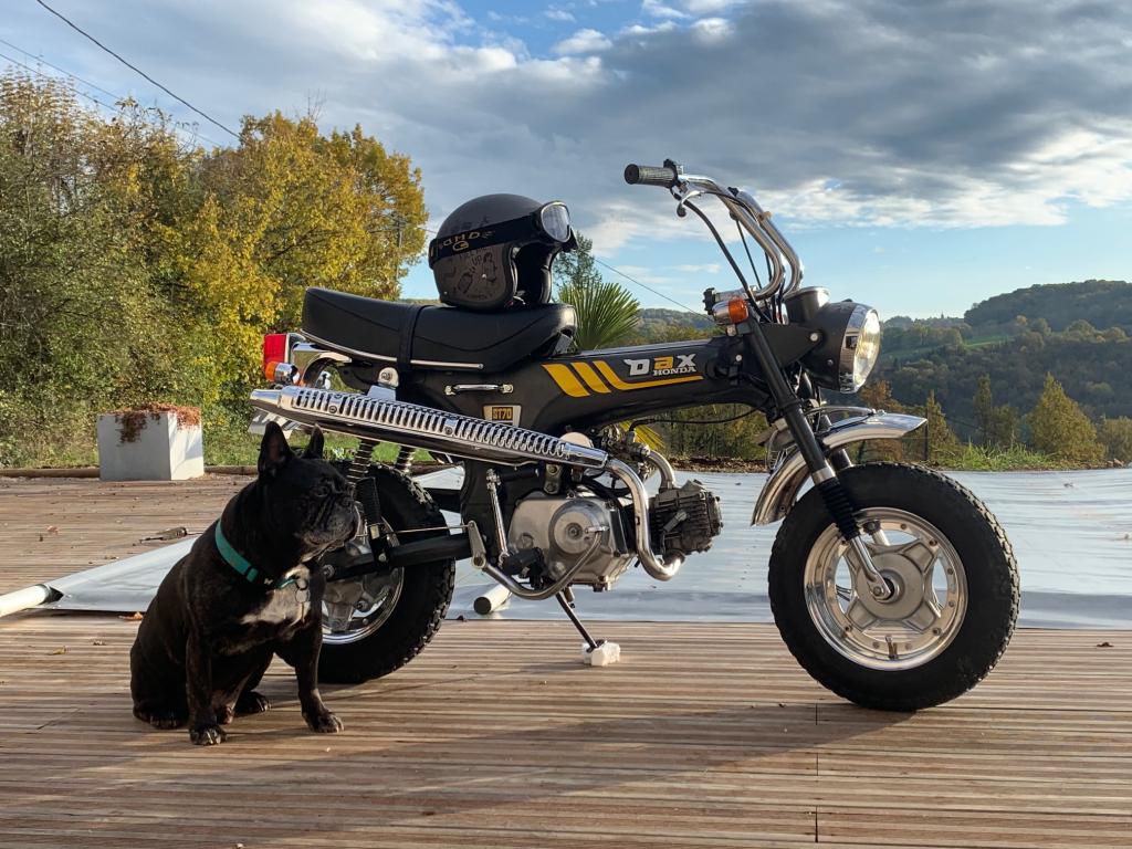 SOUTH-DAX-RIDERS Forum Index