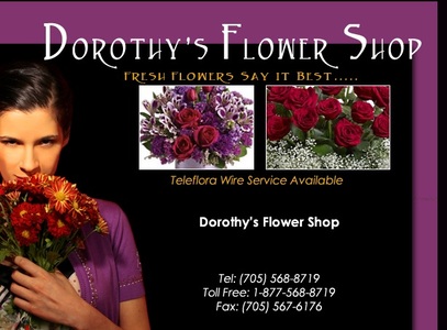 dorothy-s-flower-59342cd.jpg