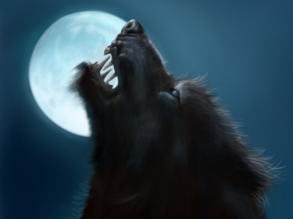 werewolf_by_jinki...-d1l24xh-58c709a.jpg