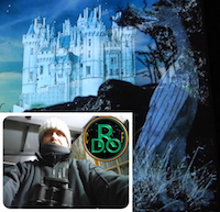Administrateur, Président-fondateur du RDO-CF