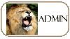 Administrateur