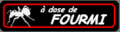 Fourmi