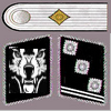 Lieutenant