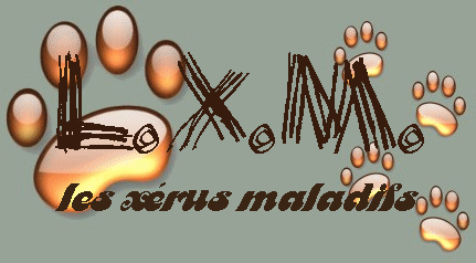 lxm Index du Forum