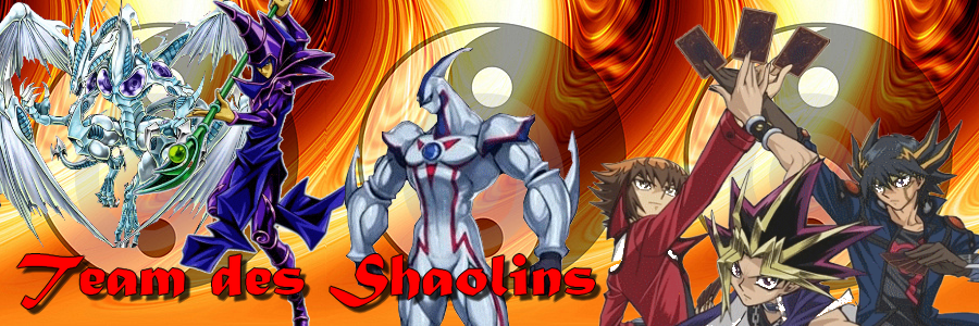 team des shaolins Index du Forum