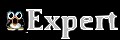 Expert
