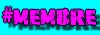 Membre