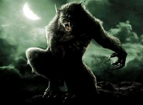 highlandwolf Index du Forum