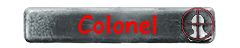 Colonel