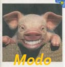 Modo