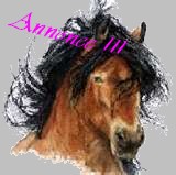 Annonce