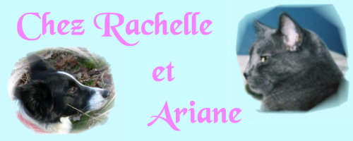 Chez Rachelle & Ariane Index du Forum