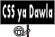 css5