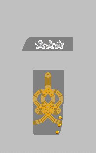Général en chef