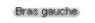 Bras Gauche