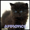 Annonce