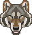 loup yay