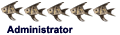 Administrateur