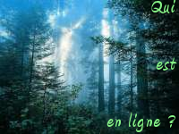 Qui est en ligne ?
