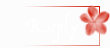 Reply to topic