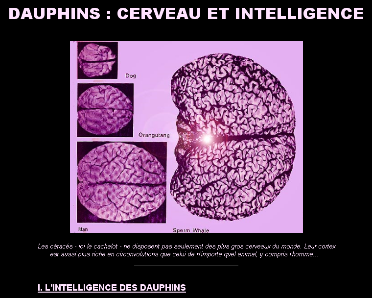 NousNeSommesPasSeuls :: Et si..Et si...ILS n'existé pas NousNeSommesPasSeuls :: Et si..Et si...ILS n'existé pas