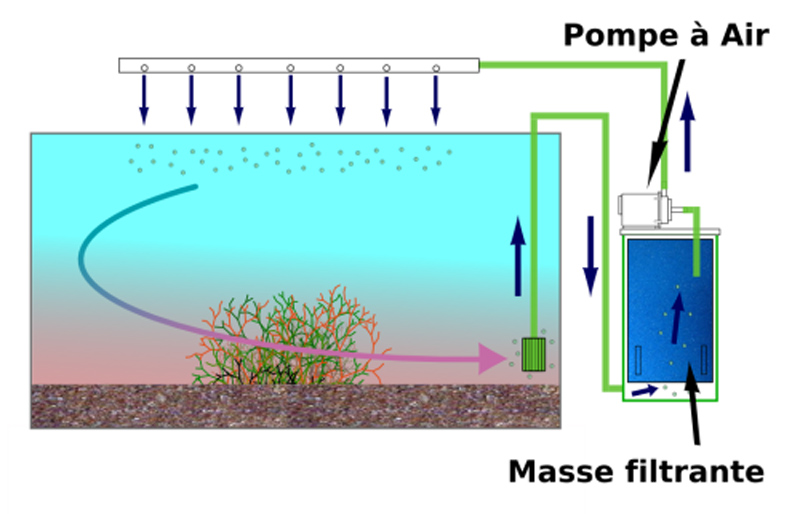Schema filtre externe aquarium