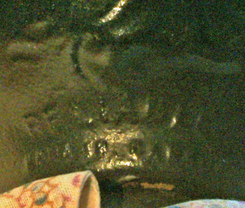 Poupée Poupon Sexué Garçon Furga Réaliste No Reborn Étaples 62630 Poupée Poupon Sexué Garçon Furga Réaliste No Reborn Étaples 62630
