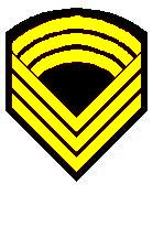 Sergent major Cavalerie