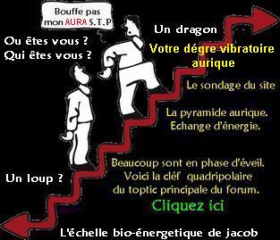 L'échelle vibratoire aurique inconnus Index du Forum