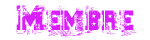 Membre
