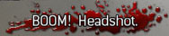 Headshot Fan Headshot Fan