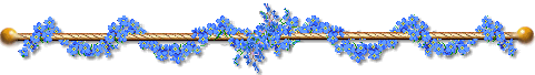 :fleurbleu: