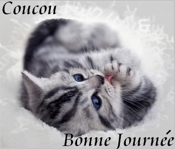 Résultat d’images pour image coucou le lundi