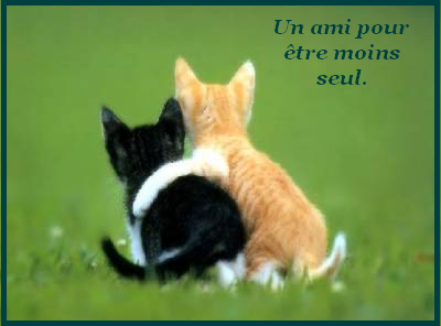 Rencontres bipolaires