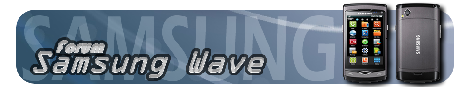 Samsung Wave Index du Forum